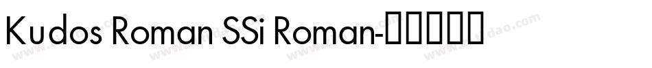 Kudos Roman SSi Roman字体转换
